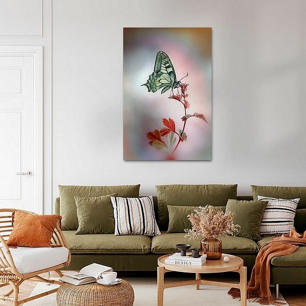 Papilio machaon