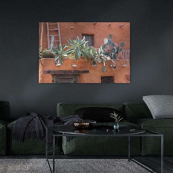 Terracotta dak met cactussen