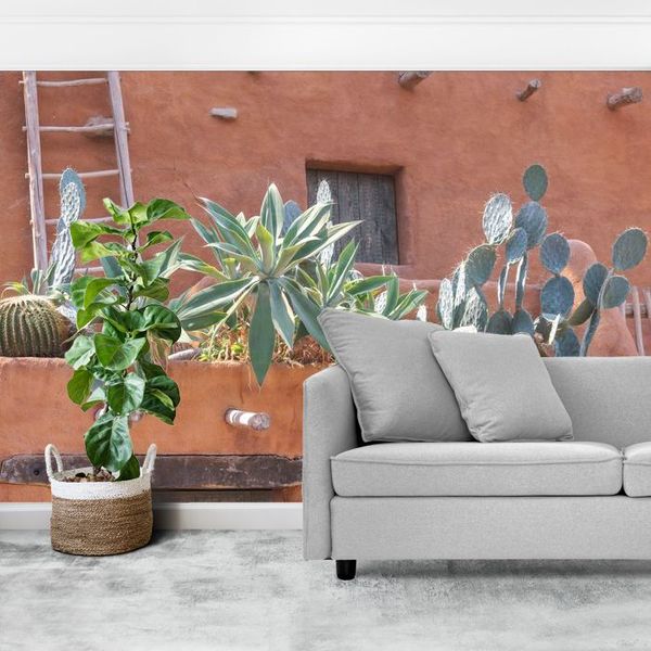 Terracotta dak met cactussen