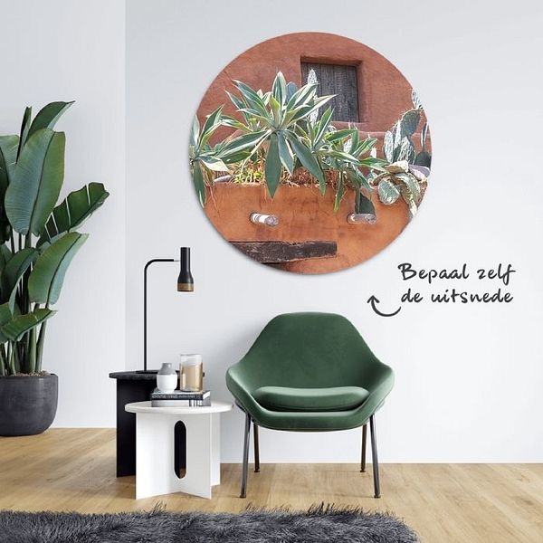 Terracotta dak met cactussen