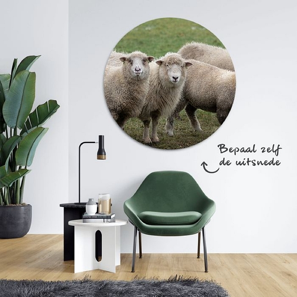 Schapen, schaap, sheet