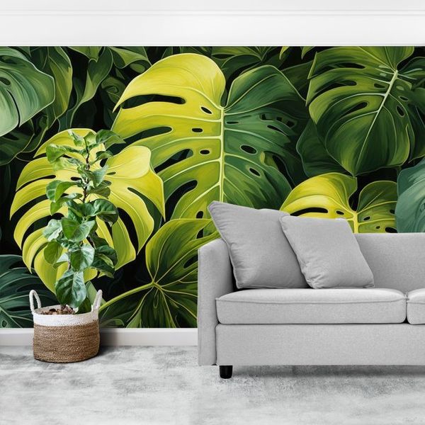 Groen gele monstera bladeren